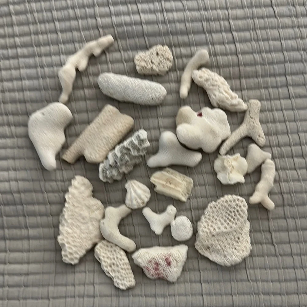 Coral Pieces in Small Apothecary Jar